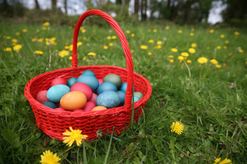 Colorful easter eggs in a basket. France.