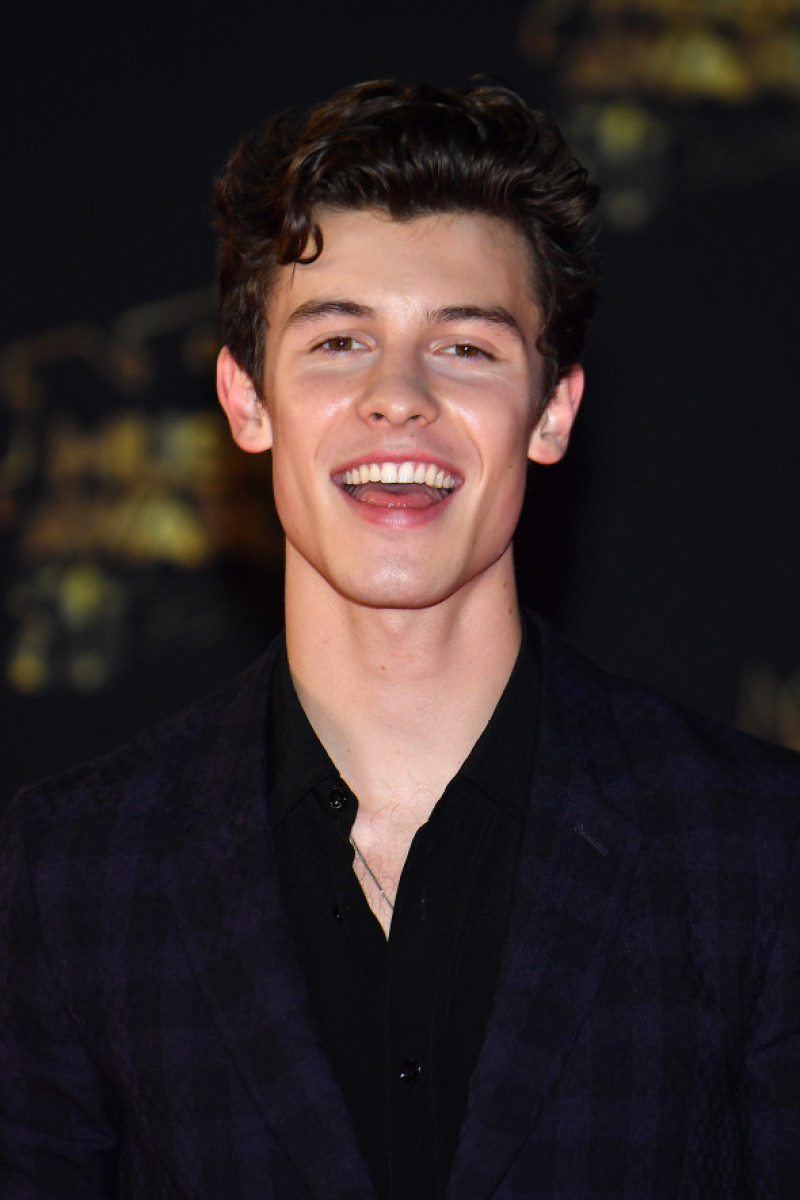 20th NRJ Music Awards - Red Carpet Arrivals