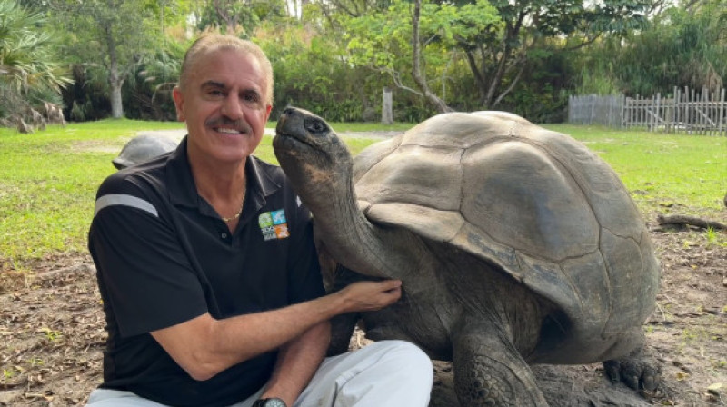 VIDEO: Tortoise who waited 135 years to become a dad finally welcomes his first baby just in time for Father's Day