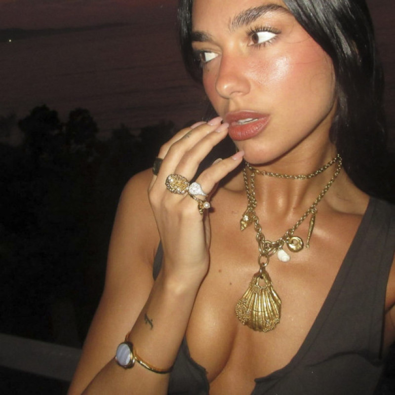 Dua Lipa on social media