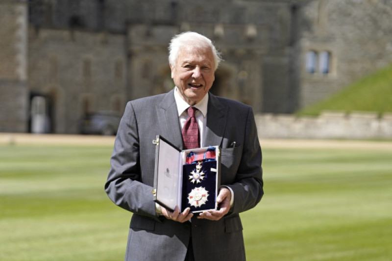 Sir David Attenborough's global legacy celebrated
