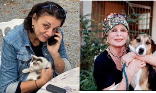 Carmen Tănase vorbește despre întâlnirea cu Brigitte Bardot. „M-a făcut să nu mai mănânc carne șapte ani”