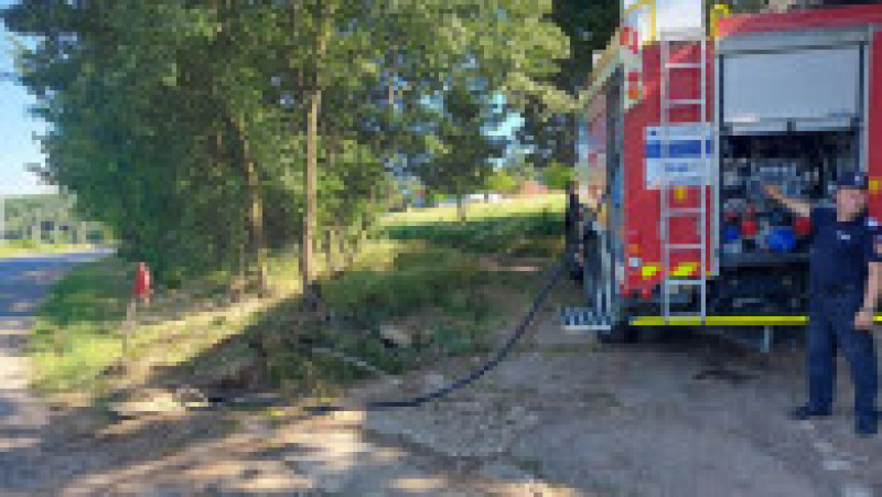 Pompierii din cadrul Detașamentului Orăștie au salvat luni patru căței. Foto: Facebook / ISU Hunedoara | Poza 2 din 6