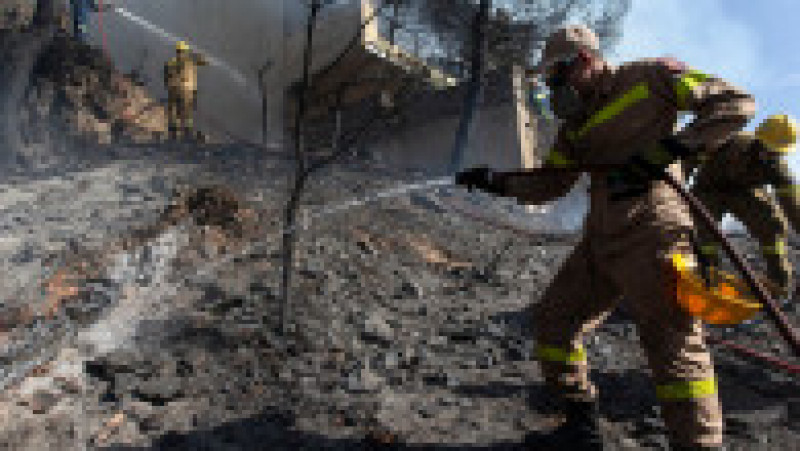 Incendiu puternic la periferia Atenei. Foto: Profimedia | Poza 2 din 8
