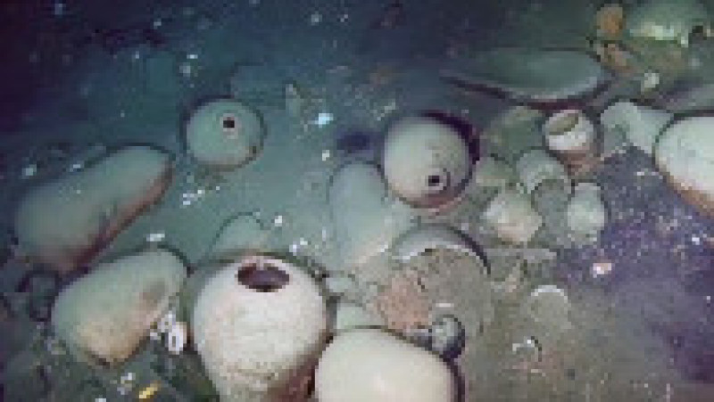 Galionul San Jose a fost descoperit în 2015, în apropierea portului Cartagena. A fost considerată una dintre cele mai importante epave din lume, scufundându-se cu comori uriașe la bord. Sursa foto: Profimedia Images / AFP PHOTO / COLOMBIAN PRESIDENCY | Poza 4 din 16