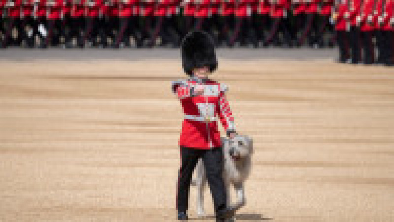 Parada Trooping the Colour 2022 a marcat debutul ceremoniilor pentru Jubileul Reginei Elisabeta a II-a Foto: Profimedia Images | Poza 34 din 34