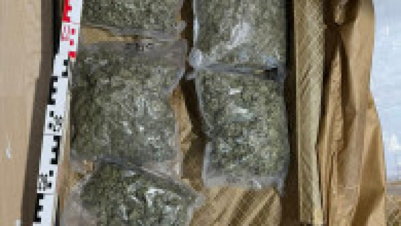 La perchezițiile făcute ieri au fost descoperite aproximativ 16 kilograme de canabis și 600 grame de cocaină. Foto: DIICOT | Poza 6 din 6