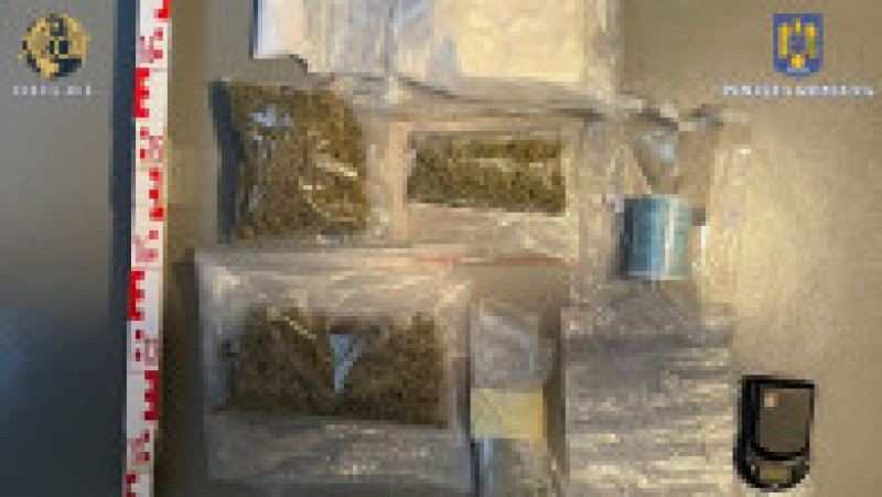 La perchezițiile făcute ieri au fost descoperite aproximativ 16 kilograme de canabis și 600 grame de cocaină. Foto: DIICOT | Poza 3 din 6