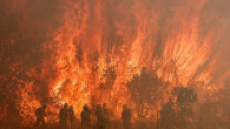Incendiile din Spania au devastat mii de hectare Foto: Profimedia Images | Poza 10 din 27