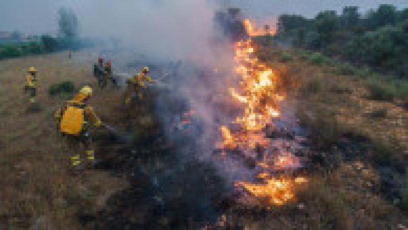 Pompierii se luptă cu incendiile de vegetație în zona Zamora, din nordul Spaniei Foto: Profimedia Images | Poza 13 din 13