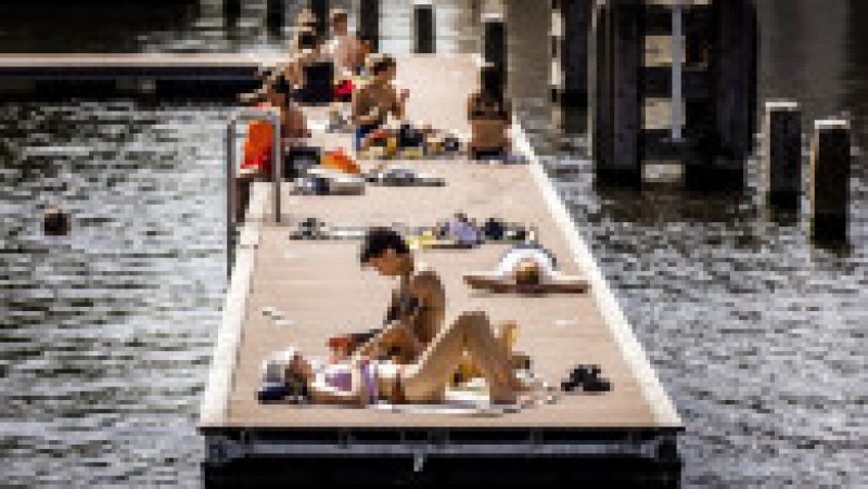 Oamenii din Amsterdam se răcoresc și fac plajă pe pontoane Foto: Profimedia Images | Poza 21 din 27