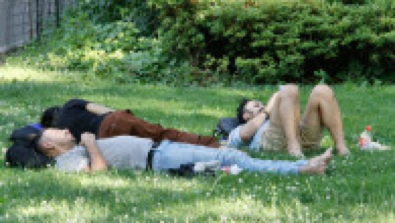Oamenii din New York se adăpostesc de căldură în Central Park Foto: Profimedia Images | Poza 25 din 27