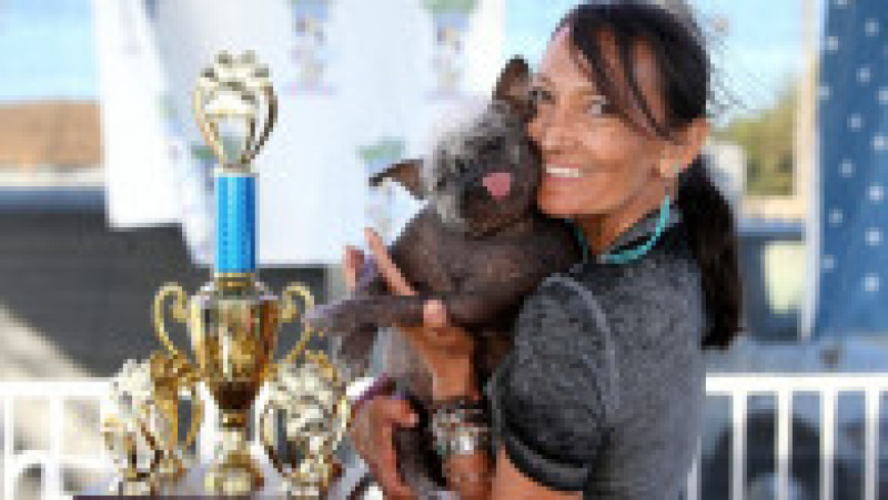 Mister Happy Face a câștigat titlul de „cel mai urât câine din lume” FOTO: Profimedia Images | Poza 14 din 49