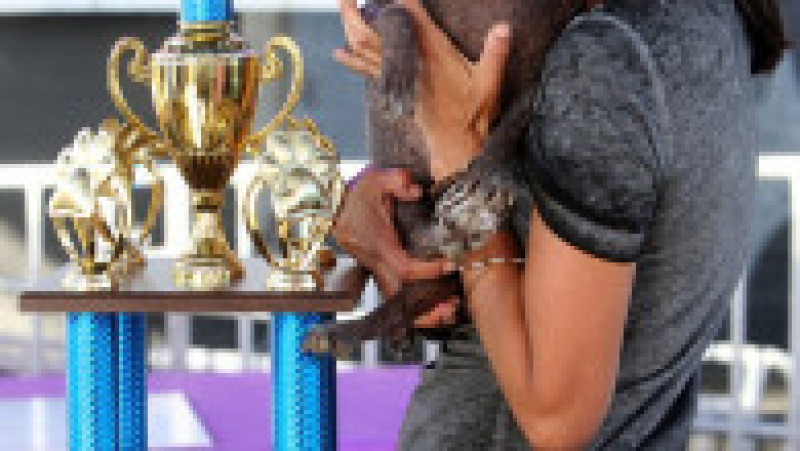 Mister Happy Face a câștigat titlul de „cel mai urât câine din lume” FOTO: Profimedia Images | Poza 10 din 49