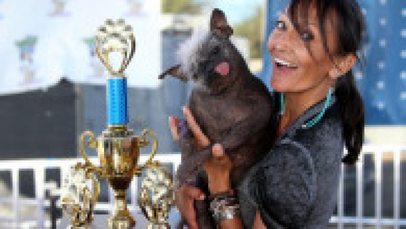 Mister Happy Face a câștigat titlul de „cel mai urât câine din lume” FOTO: Profimedia Images | Poza 3 din 49