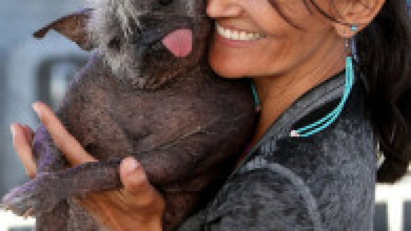 Mister Happy Face a câștigat titlul de „cel mai urât câine din lume” FOTO: Profimedia Images | Poza 5 din 49