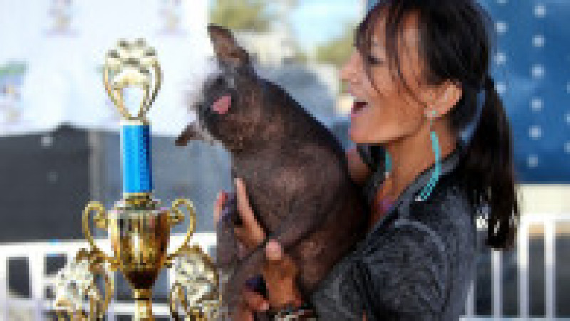 Mister Happy Face a câștigat titlul de „cel mai urât câine din lume” FOTO: Profimedia Images | Poza 49 din 49