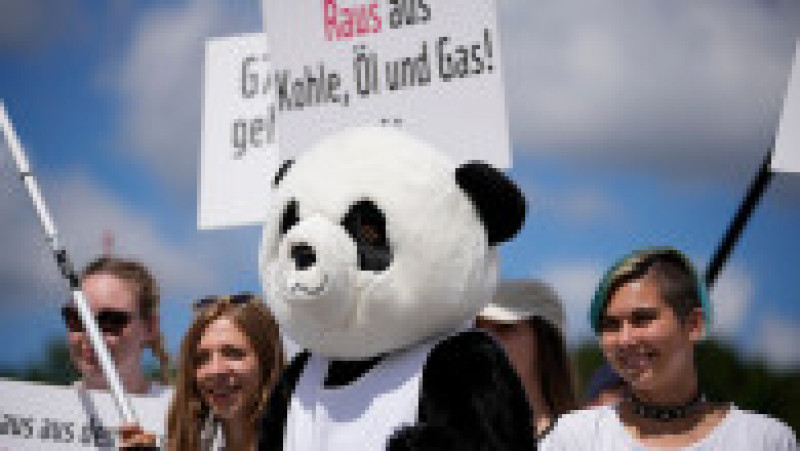 Un protestatar îmbrăcat ca urs panda protestează împotriva combustibililor fosili în timpul unei demonstrații înaintea reuniunii G7 de la München. Foto: Profimedia Images | Poza 4 din 9