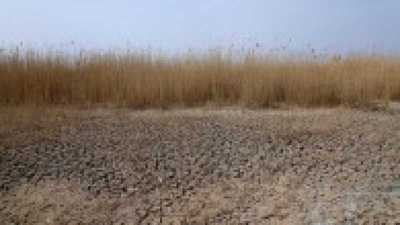 Lacul Sawa din sudul Irakului a secat complet FOTO: Profimedia Images | Poza 4 din 15