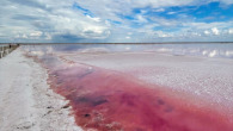 Lacul Sasîk-Sivaș din Crimeea FOTO: Profimedia Images | Poza 6 din 12