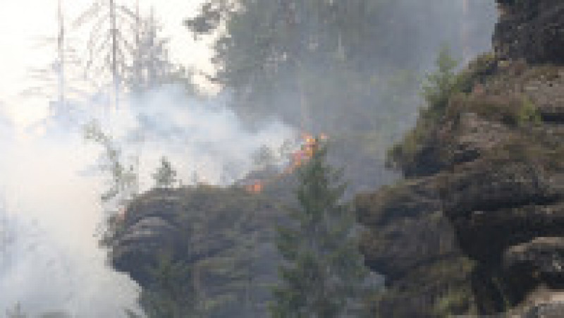 Cel mai puternic incendiu din istoria Cehiei s-a extins deja la 1.000 de hectare. FOTO: Profimedia Images | Poza 12 din 12