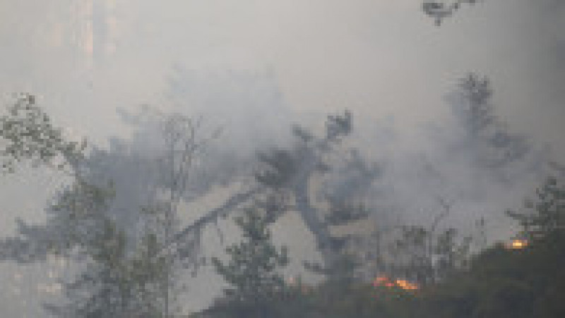 Cel mai puternic incendiu din istoria Cehiei s-a extins deja la 1.000 de hectare. FOTO: Profimedia Images | Poza 11 din 12