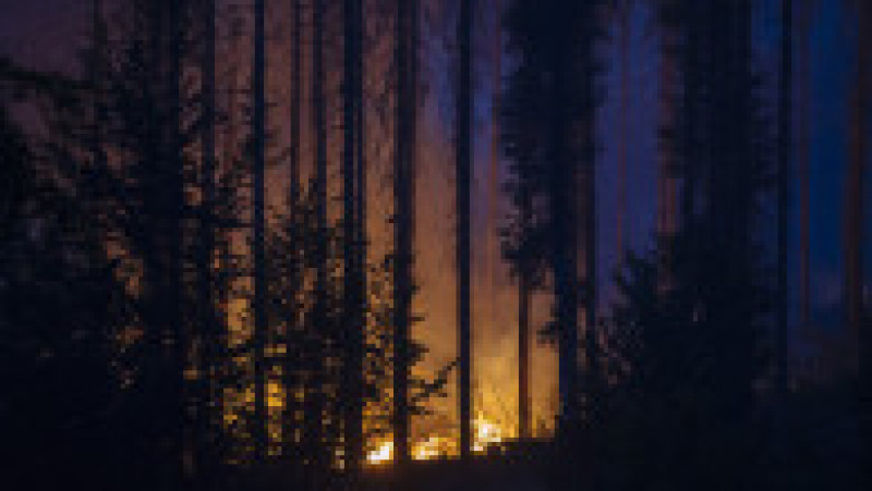 Cel mai puternic incendiu din istoria Cehiei s-a extins deja la 1.000 de hectare. FOTO: Profimedia Images | Poza 4 din 12