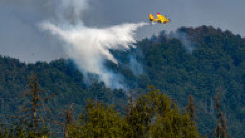 Cel mai puternic incendiu din istoria Cehiei s-a extins deja la 1.000 de hectare. FOTO: Profimedia Images | Poza 1 din 12