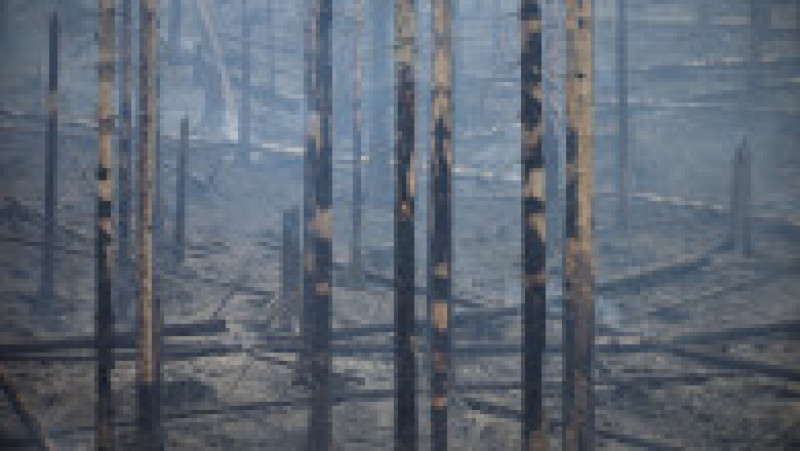 Cel mai puternic incendiu din istoria Cehiei s-a extins deja la 1.000 de hectare. FOTO: Profimedia Images | Poza 9 din 12