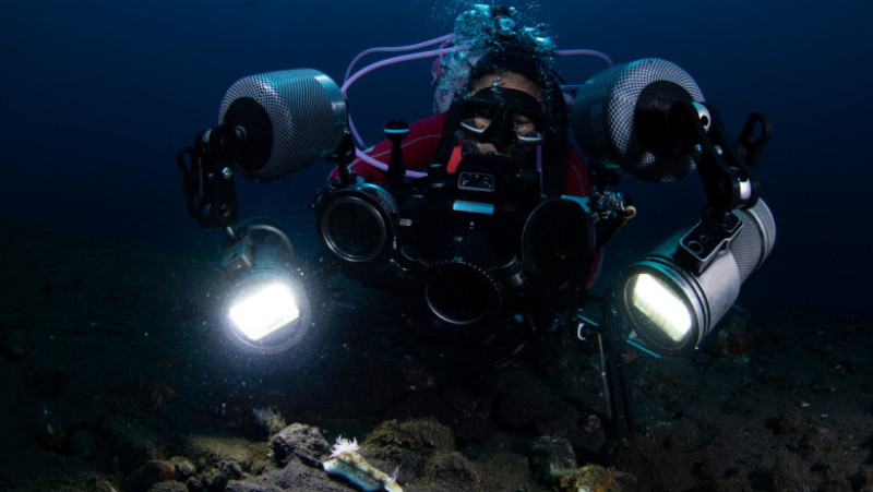 Limacși de apă care trăiesc în adâncul oceanelor, fotografiați de Yury Ivanov, scafandru profesionist și fotograf macro subacvatic. Foto: Profimedia