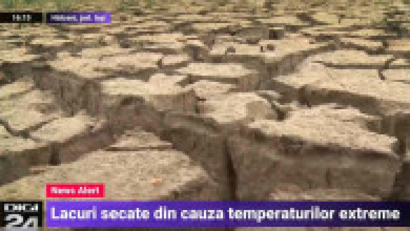 Efectele secetei la Hălceni, Iași Foto: captură video Digi24 | Poza 13 din 17