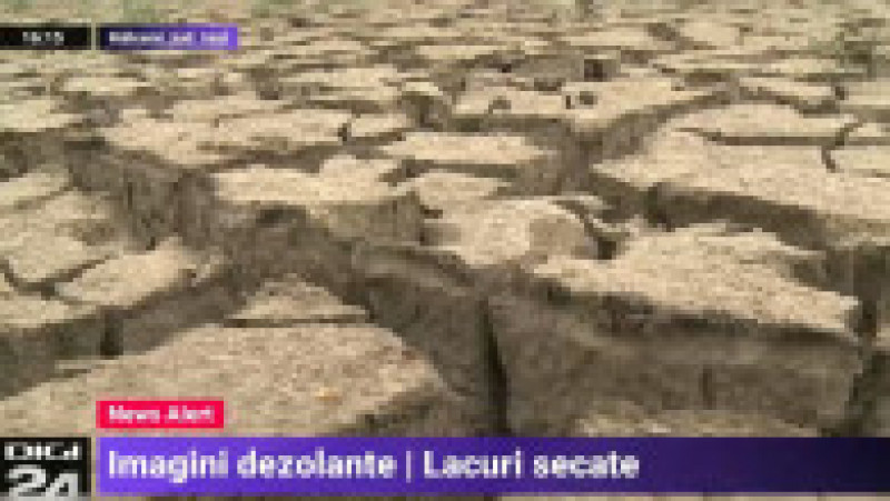 Efectele secetei în România Foto: captură video Digi24 | Poza 10 din 17