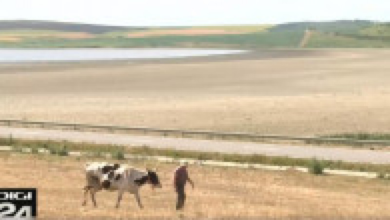 Efectele secetei din România Foto: captură video Digi24 | Poza 15 din 17