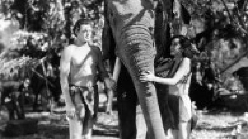 Tarzan și Jane într-o secvență dintr-un film din 1934 Foto: Profimedia Images | Poza 10 din 18