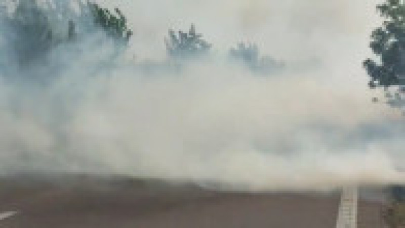 Foto: ISU Teleorman | Poza 1 din 8