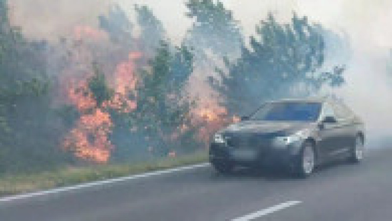 Foto: ISU Teleorman | Poza 8 din 8