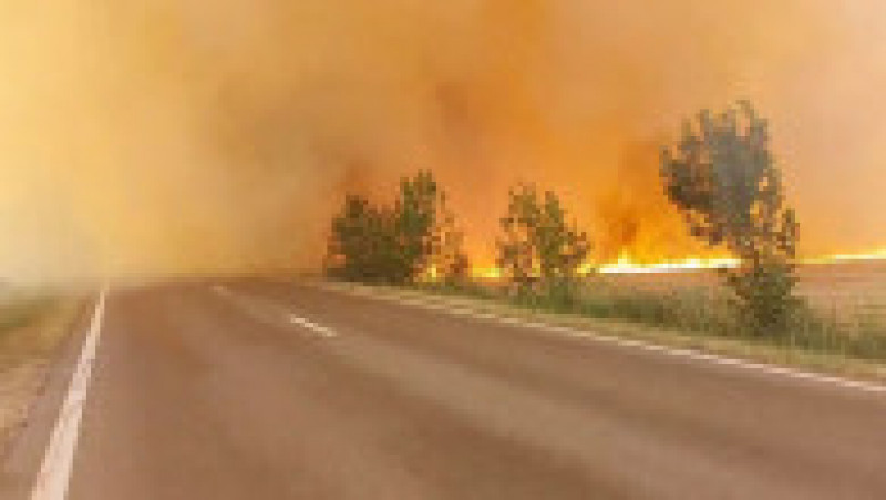 Incendiu puternic de vegetație în județul Teleorman. Foto: ISU Teleorman | Poza 6 din 8