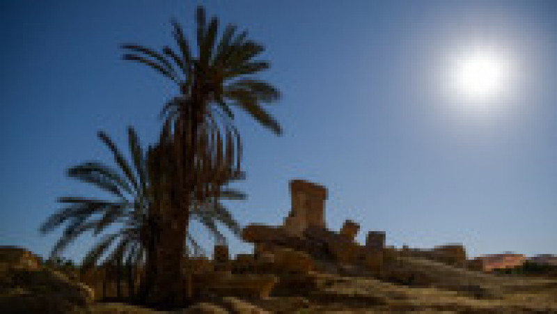 Superluna văzută în oaza Siwa din Egipt. Foto: Profimedia | Poza 10 din 13