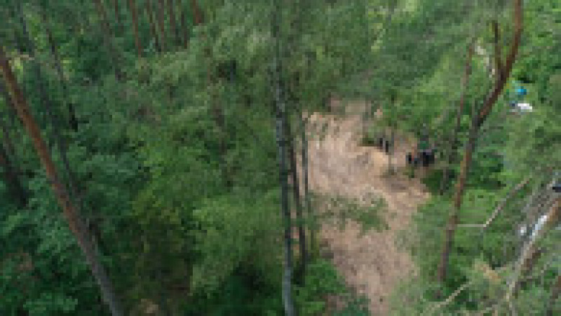 Pădurea Bialucki, lângă locul unde a fost descoperită groapa comună. Sursa foto: Profimedia Images | Poza 5 din 10