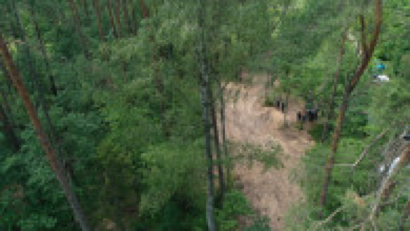 Pădurea Bialucki, lângă locul unde a fost descoperită groapa comună. Sursa foto: Profimedia Images | Poza 5 din 10