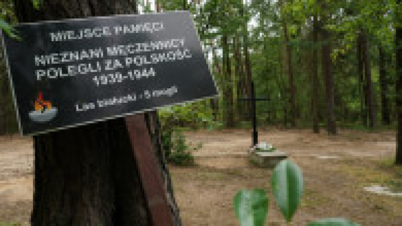 Mormânt simbolic în pădurea Bialucki, lângă locul unde a fost descoperită groapa comună. Sursa foto: Profimedia Images | Poza 2 din 10