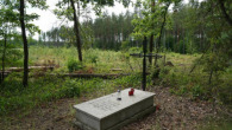 Mormânt simbolic în pădurea Bialucki, lângă locul unde a fost descoperită groapa comună. Sursa foto: Profimedia Images | Poza 3 din 10