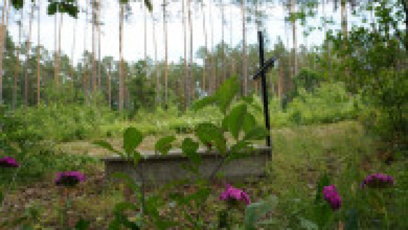 Mormânt simbolic în pădurea Bialucki, lângă locul unde a fost descoperită groapa comună. Sursa foto: Profimedia Images | Poza 4 din 10