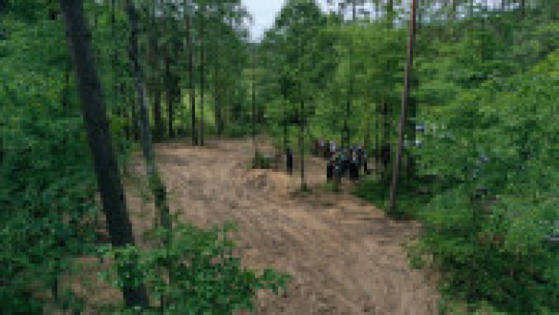 Pădurea Bialucki, lângă locul unde a fost descoperită groapa comună. Sursa foto: Profimedia Images | Poza 6 din 10