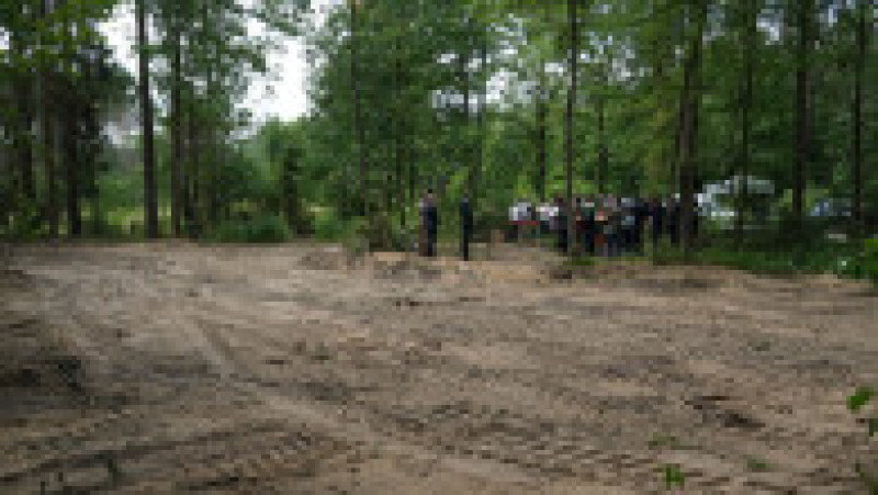 Pădurea Bialucki, lângă locul unde a fost descoperită groapa comună. Sursa foto: Profimedia Images | Poza 7 din 10