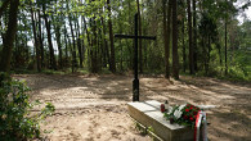 Mormânt simbolic în pădurea Bialucki, lângă locul unde a fost descoperită groapa comună. Sursa foto: Profimedia Images | Poza 1 din 10