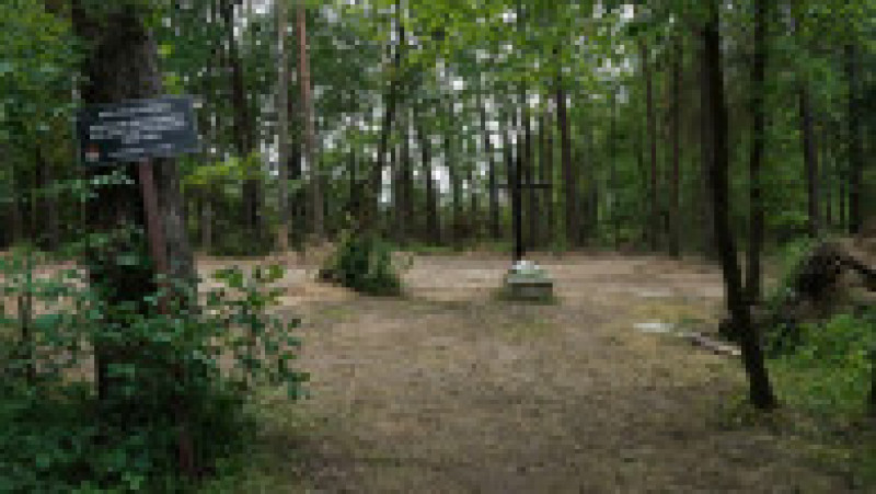 Mormânt simbolic în pădurea Bialucki, lângă locul unde a fost descoperită groapa comună. Sursa foto: Profimedia Images | Poza 10 din 10