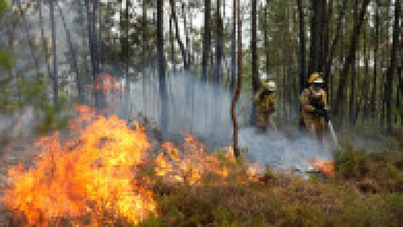 Peste 300 de kilometri pătrați au ars anul acesta în Portugalia – o suprafață mai mare decât cea care a fost mistuită de incendii în tot anul 2021. Foto: Profimedia Images | Poza 12 din 13