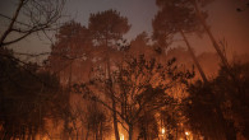 Incendiu lângă Duna lui Pilat, sud-vestul Franței. Foto: Profimedia Images | Poza 13 din 16