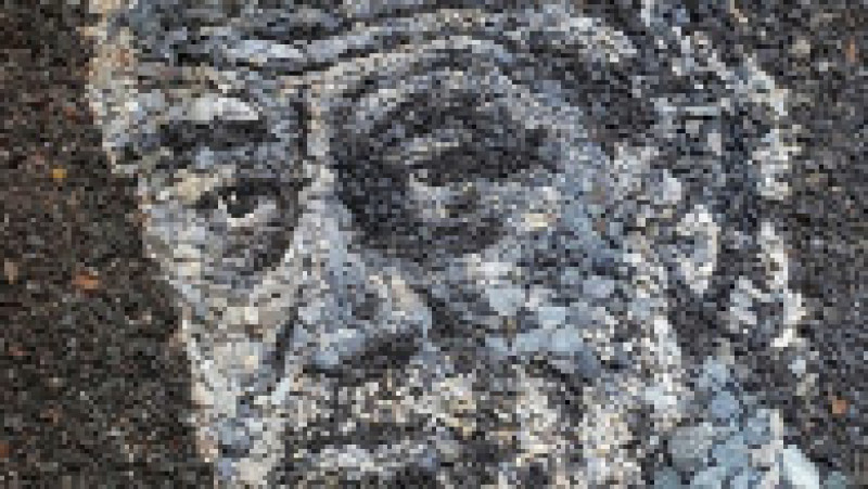 Un artist britanic realizează portrete uluitoare din pietricele obișnuite Foto: Profimedia Images | Poza 3 din 21